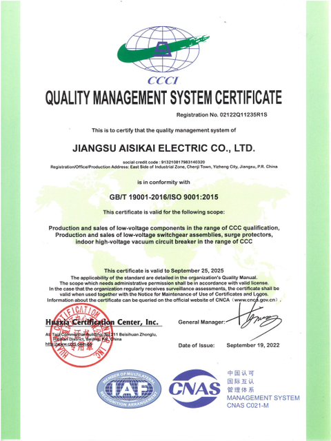 ISO9001质量管理体系认证-英文(1)(1)